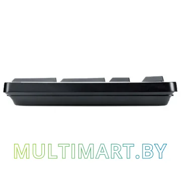 Клавиатура Logitech Classic Keyboard K100 картинка 2